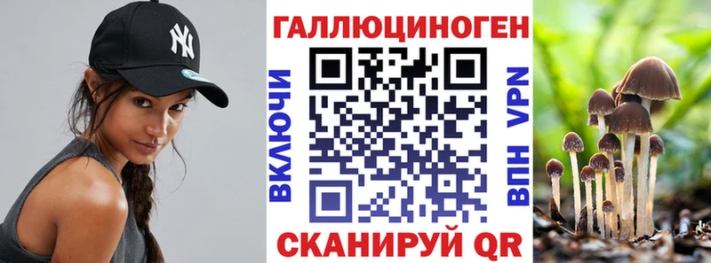 хочу наркоту  Мыски  Галлюциногенные грибы мицелий 